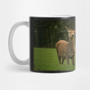 Roe deer Mug